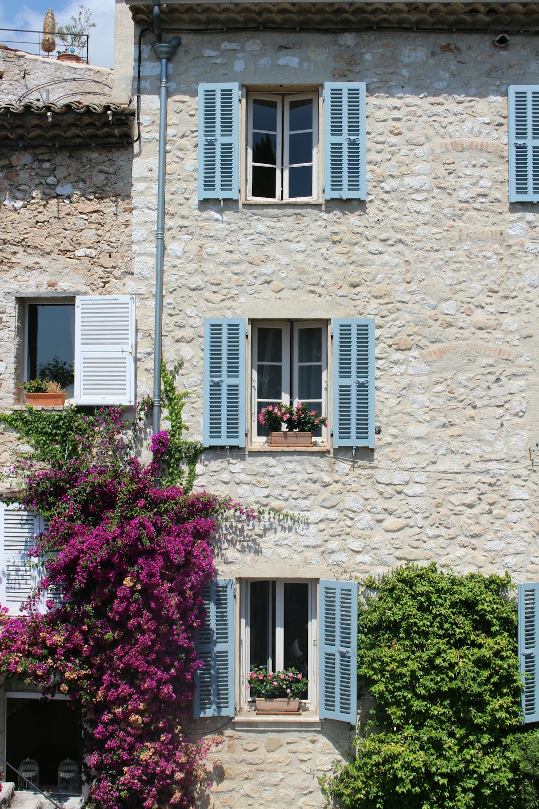 Traditional French stone house with light blue shutters and climbing flowers in Charente